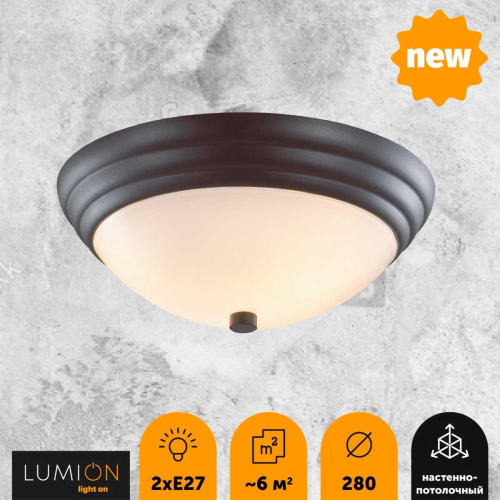 Настенно-потолочный Lumion Vintage Kayla 5263/2C