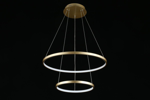 Подвесной светодиодный светильник Aployt Lunet APL.014.03.60