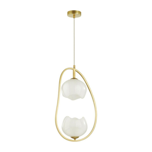 Подвесной светильник Odeon Light Modern Waterlily 4873/2 Подвесной светильник Odeon Light Modern Waterlily 4873/2