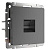 Розетка Ethernet RJ-45 Werkel графит рифленый W1181004 4690389158674