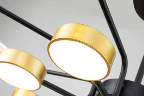 Потолочная светодиодная люстра Escada Halo 10211/SG LED