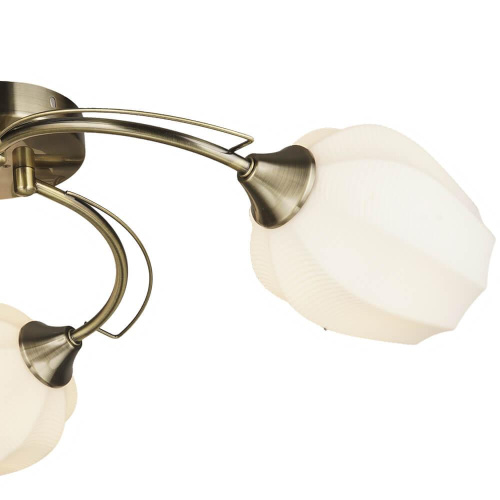 Потолочная люстра Wedo Light Shajena 66593.01.05.03