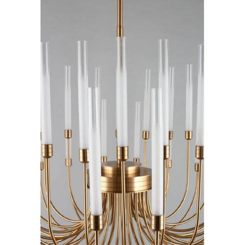 Подвесная светодиодная люстра Aployt Dominisia APL.852.07.80