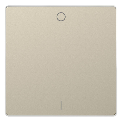 Клавиша одинарная Schneider Electric Merten D-Life MTN3301-6033
