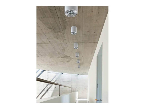 Потолочный светильник Azzardo Bross 1 AZ0781 Потолочный светильник Azzardo Bross 1 AZ0781