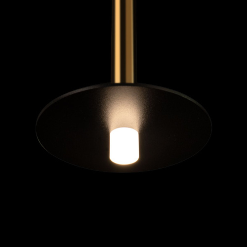 Подвесной светодиодный светильник Loft IT Reed 10358/830 Disk AB