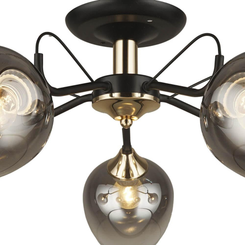 Потолочная люстра Seven Fires Isora 66606.01.69.05