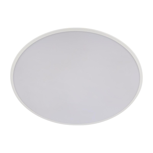 Потолочный светодиодный светильник Loft IT Brim 10226 White