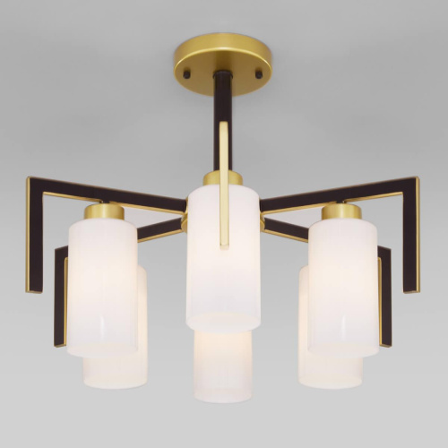 Потолочная люстра Eurosvet Palio 70126/6 черный