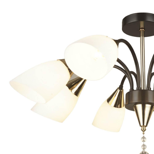 Потолочная люстра Seven Fires Tasita 66613.01.15.08