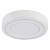 Потолочный светодиодный светильник Arte Lamp Antares A7816PL-2WH