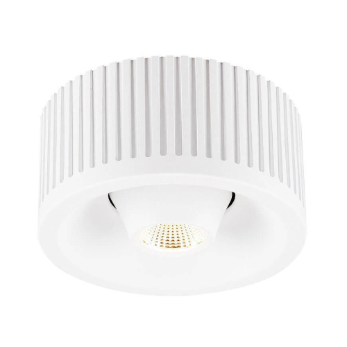 Потолочный светодиодный светильник SLV Occuldas 13 Move 117361