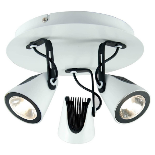 Спот Lussole Loft LSN-4101-03 Спот Lussole Loft LSN-4101-03
