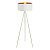 Торшер ST Luce SL6242.505.01