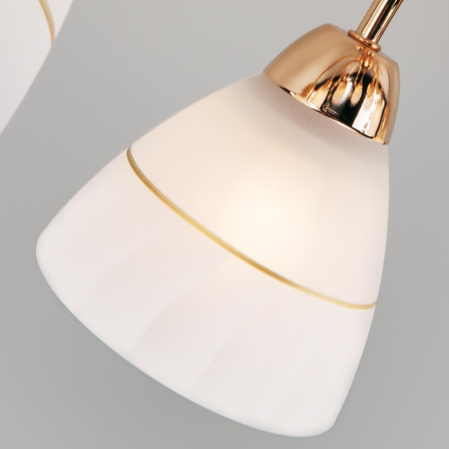 Потолочная люстра Eurosvet Camilla 30156/8 Потолочная люстра Eurosvet Camilla 30156/8