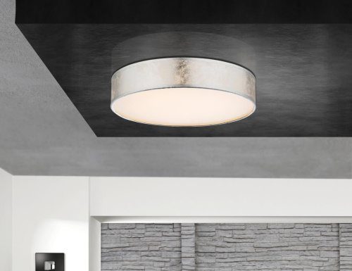 Потолочный светодиодный светильник Globo Amy I 15188D1 Потолочный светодиодный светильник Globo Amy I 15188D1