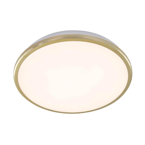 Потолочный светодиодный светильник Citilux Луна CL702222W Потолочный светодиодный светильник Citilux Луна CL702222W