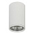 Потолочный светильник Escada 20001SMU/01 SWH