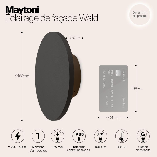 Уличный настенный светодиодный светильник Maytoni Wald O420WL-L12GF Уличный настенный светодиодный светильник Maytoni Wald O420WL-L12GF