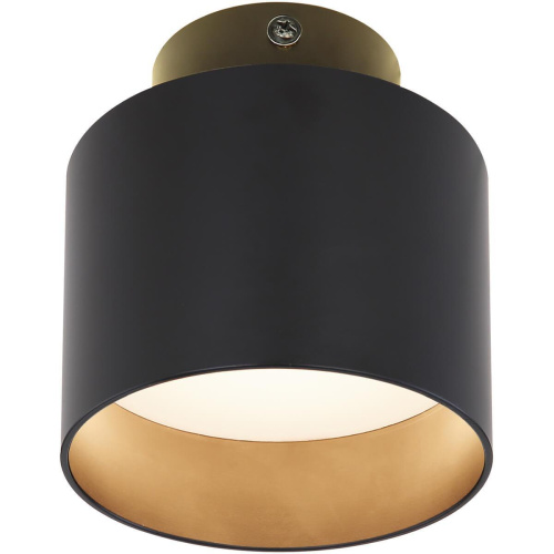 Потолочный светодиодный светильник Globo Jenny 12015B Потолочный светодиодный светильник Globo Jenny 12015B