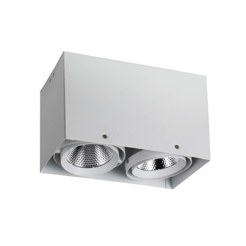 Потолочный светодиодный светильник Favourite Flashled 1986-2U Потолочный светодиодный светильник Favourite Flashled 1986-2U