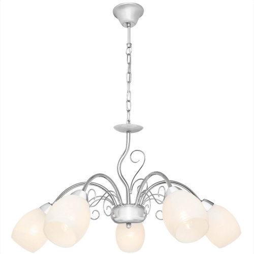 Подвесная люстра Silver Light Aimi 139.54.5 Подвесная люстра Silver Light Aimi 139.54.5
