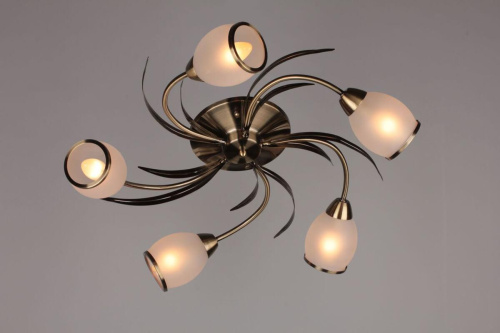 Потолочная люстра Omnilux OML-35827-05