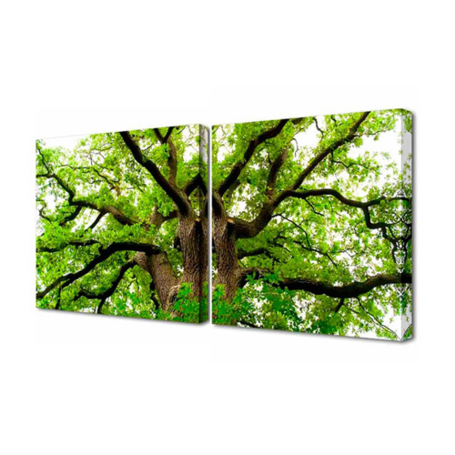 Модульная картина Toplight Природа 50х100см TL-M2029