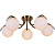 Потолочная люстра Reluce 81725-0.3-05