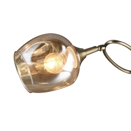 Потолочная люстра Wedo Light Эмма 65921.01.05.03