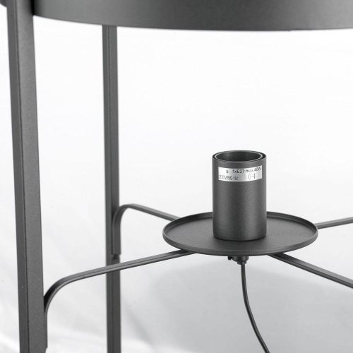 Торшер Lussole Lgo Clarke LSP-0603 Торшер Lussole Lgo Clarke LSP-0603