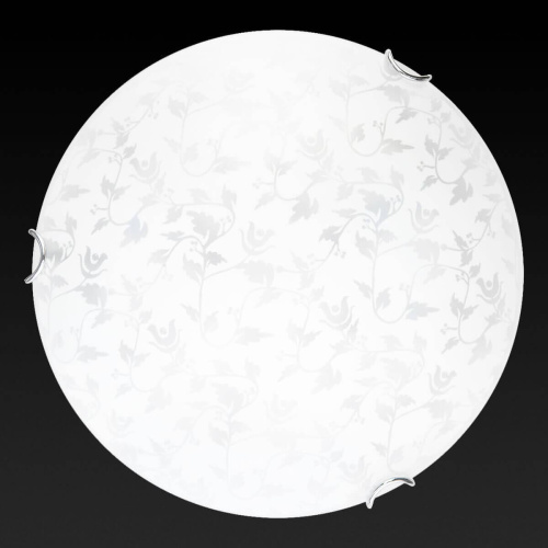 Настенно-потолочный светодиодный светильник Toplight Beatrice TL9280Y-00WH