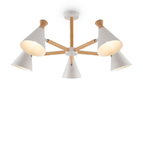 Потолочная люстра Freya Rise FR5169PL-05W