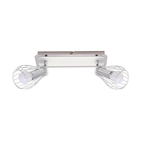 Спот Zumaline Oscar CK170519-2