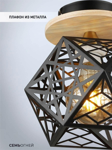 Потолочный светильник Seven Fires Aland WD3572/1C-BK Потолочный светильник Seven Fires Aland WD3572/1C-BK