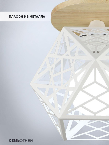 Потолочный светильник Seven Fires Aland WD3572/1C-WT Потолочный светильник Seven Fires Aland WD3572/1C-WT