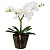 Настольная лампа Globo Flowerpower 28002