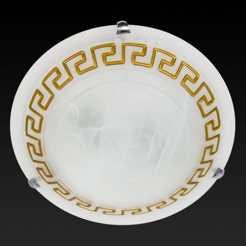 Потолочный светильник Toplight Gien TL9171Y-02BN