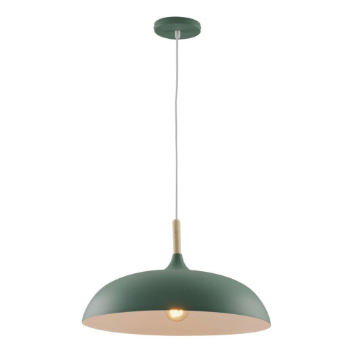 Подвесной светильник Moderli Hygo V11453-1P