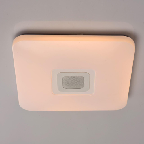 Потолочный светодиодный светильник De Markt Норден 4 660012401