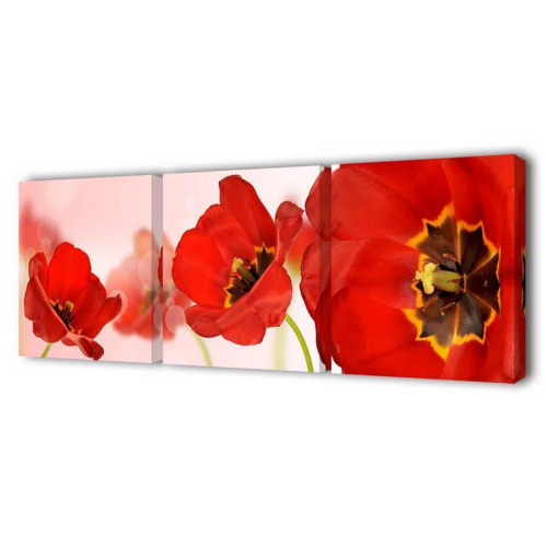 Модульная картина Насыщенные маки Toplight 150х50см TL-M2048