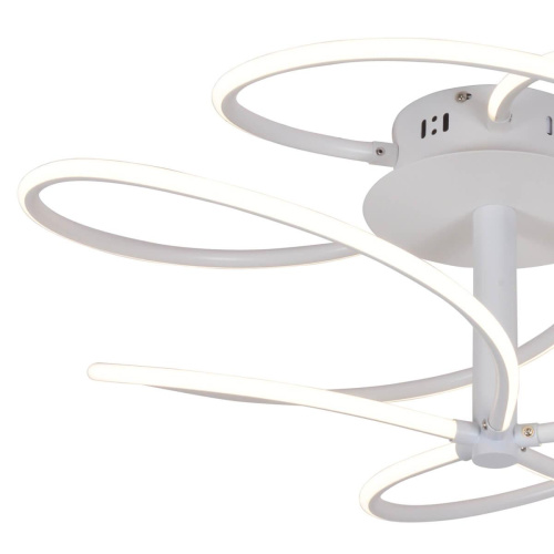 Потолочный светодиодный светильник F-Promo Impeditis 2380-5U