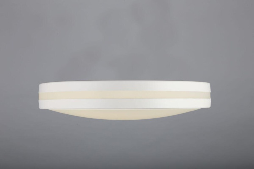 Потолочный светодиодный светильник Omnilux OML-43407-34