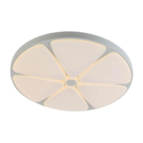 Потолочный светодиодный светильник Profit Light 2169/450 WH+CR RGB Потолочный светодиодный светильник Profit Light 2169/450 WH+CR RGB
