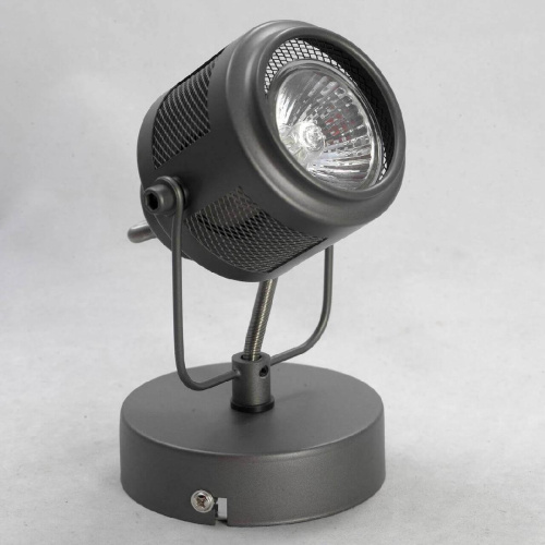 Спот Lussole Loft Haines GRLSP-8045