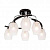 Потолочная люстра Silver Light Trophi 246.59.6