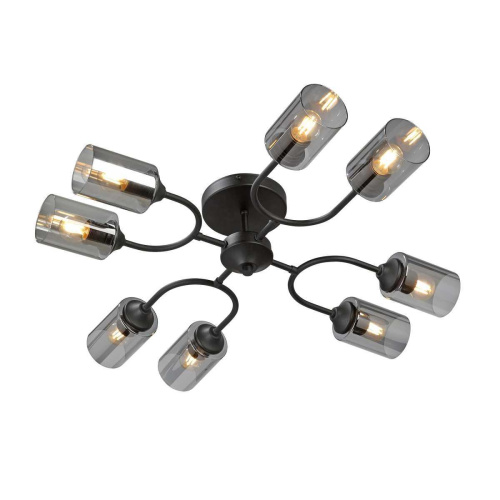 Потолочная люстра Vitaluce V2823-1/8PL Потолочная люстра Vitaluce V2823-1/8PL
