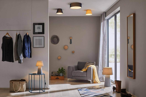 Потолочный светильник Paulmann Mea 70950