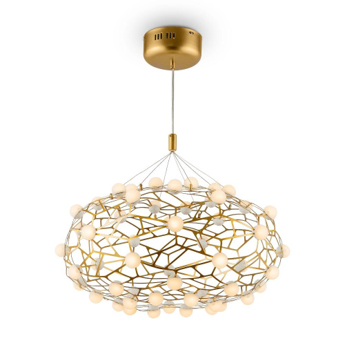 Подвесной светодиодный светильник Freya Sheila FR5131PL-L28G