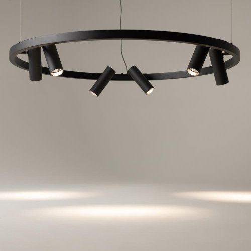 Подвесной светильник Maytoni MOD102PL-L42BK